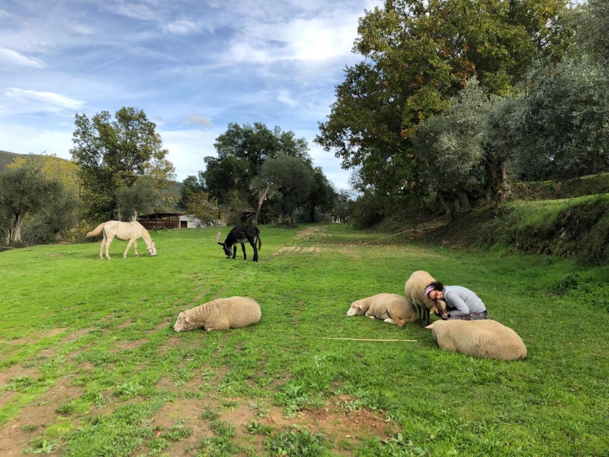 Quinta Do Ragal Villa Lavacolhos Buitenkant foto